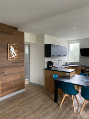 Résidence les 4 flocons 100m du lac et du centre avec sauna, wifi, parking ,5 mins de la navette des neige